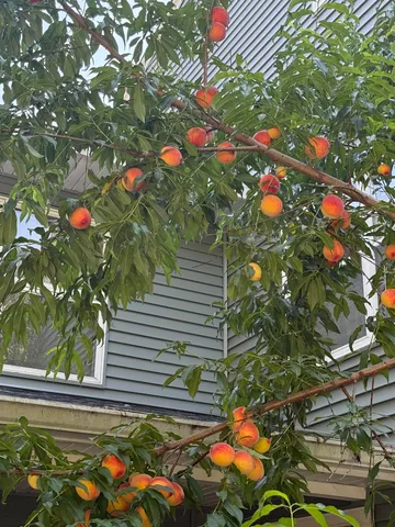 $799,900 | 7857 Schaller Road, Verona, WI 53593