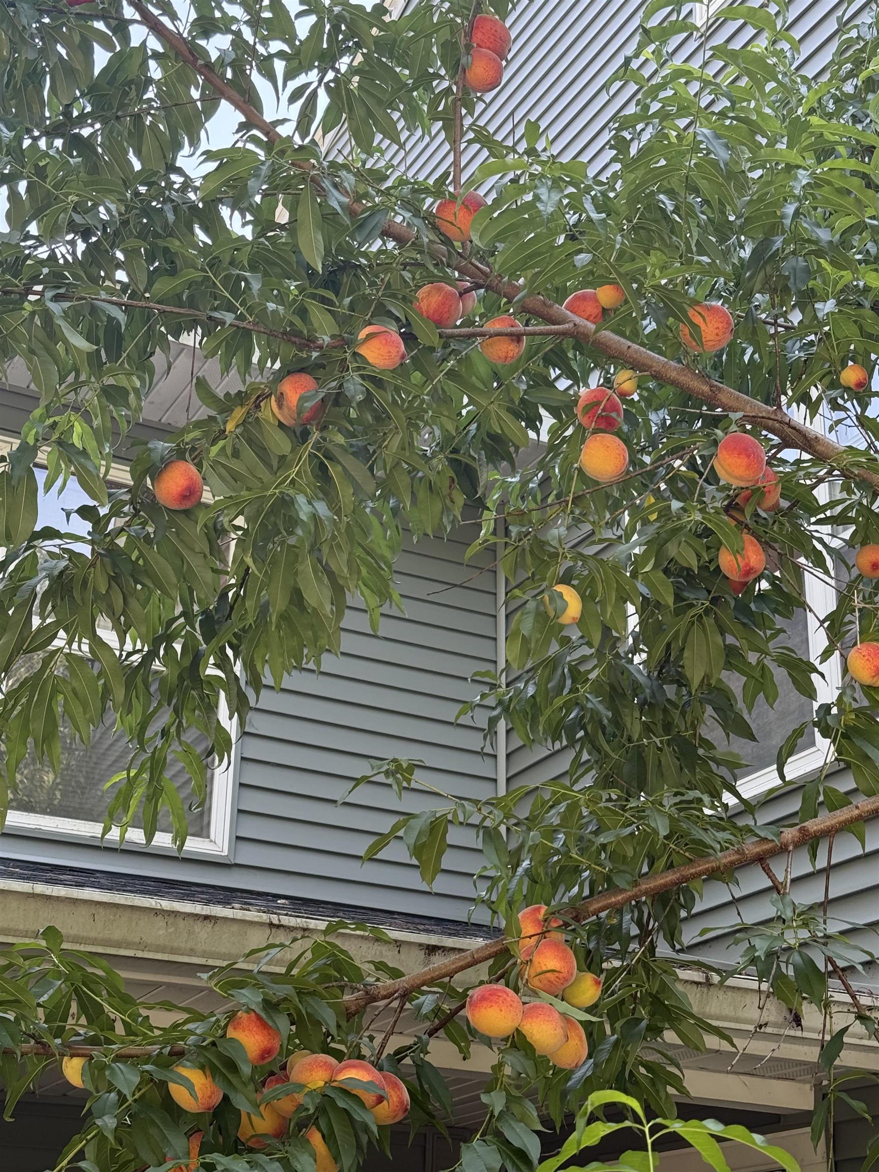 7857 Schaller Road Verona, WI 53593 - Photo 78 of 81