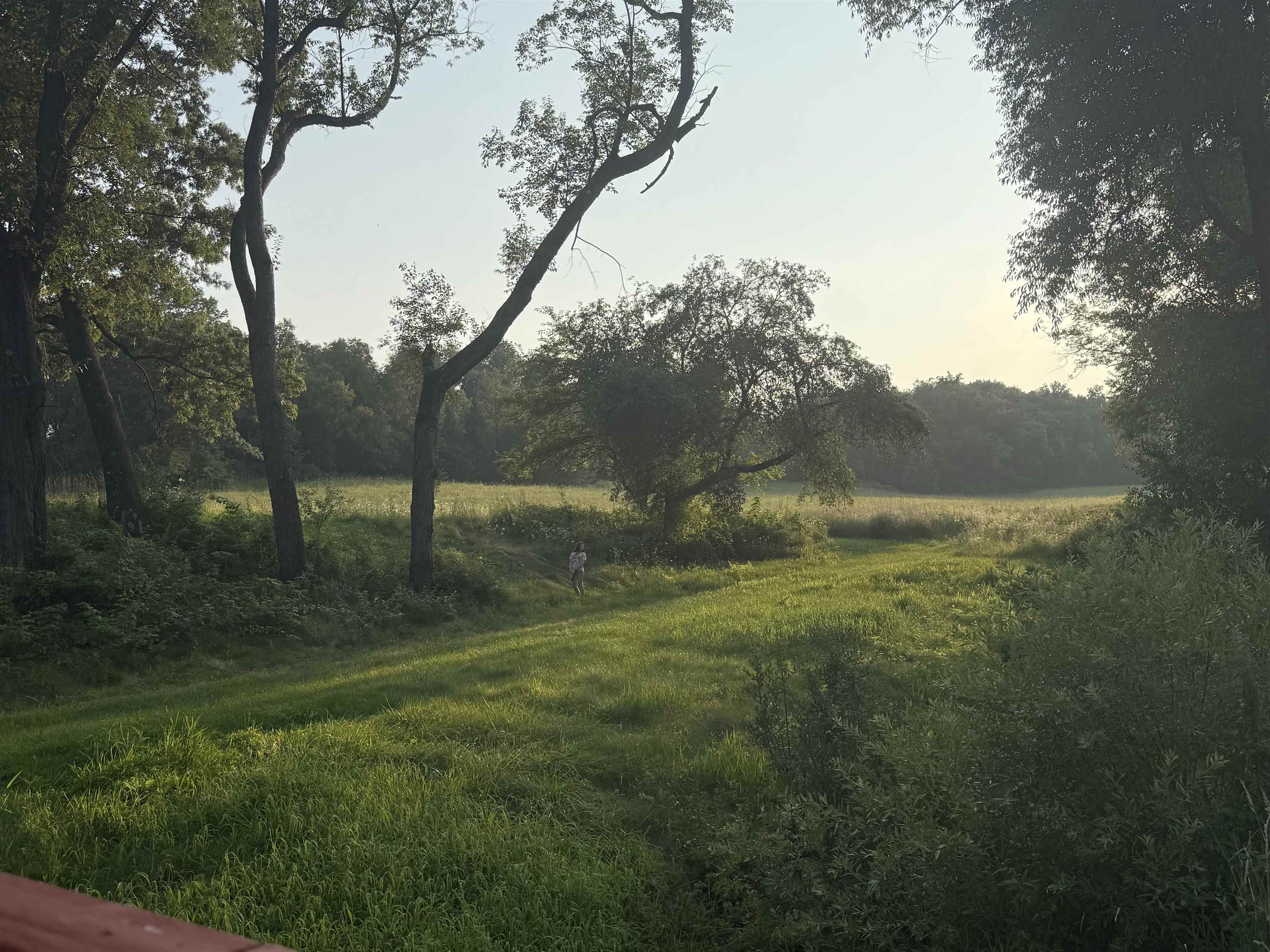 7857 Schaller Road Verona, WI 53593 - Photo 79 of 81