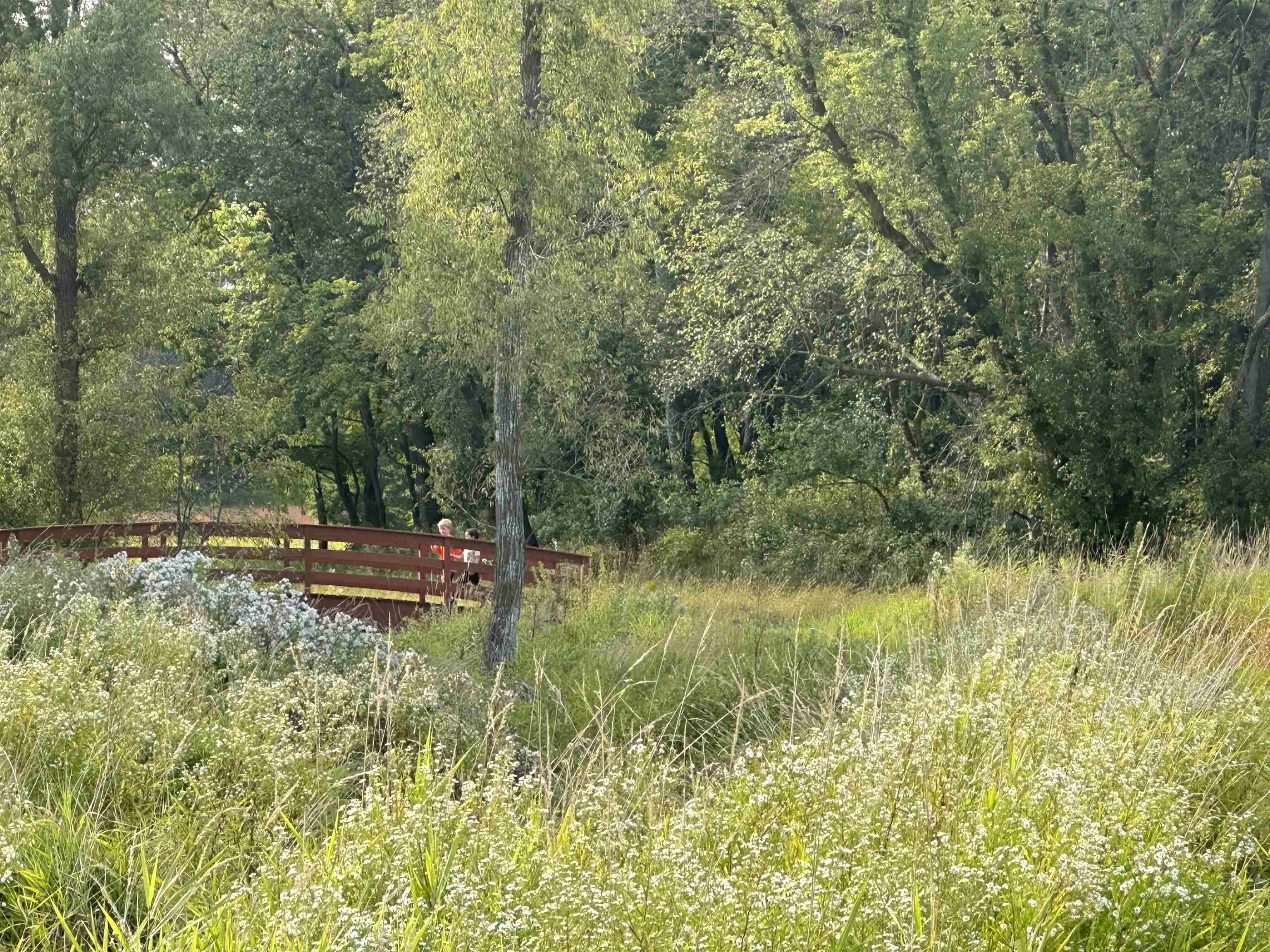 7857 Schaller Road Verona, WI 53593 - Photo 80 of 81