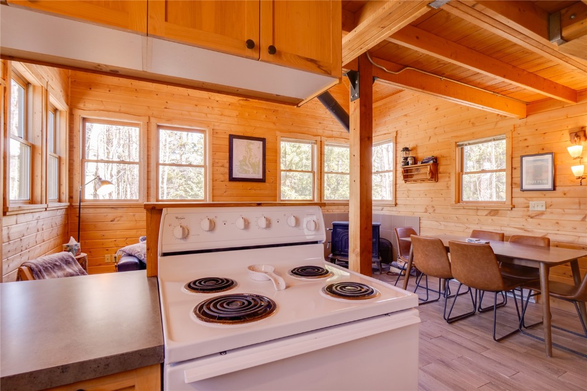 107 Silver Plume Road Alma, CO 80420 - Photo 13 of 36 Gallery Image 13