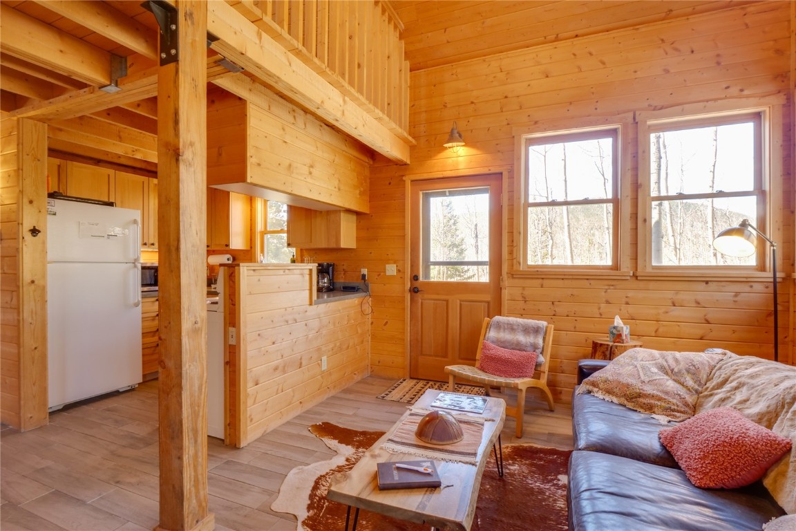 107 Silver Plume Road Alma, CO 80420 - Photo 15 of 36 Gallery Image 15
