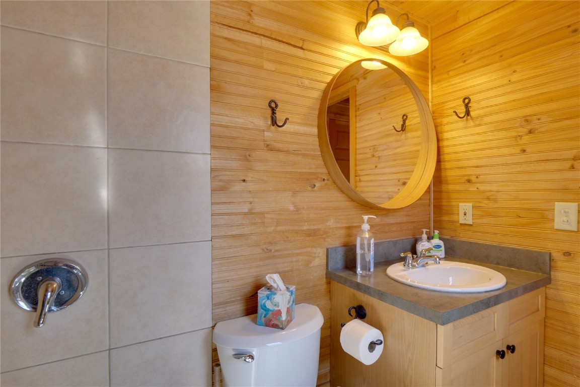 107 Silver Plume Road Alma, CO 80420 - Photo 22 of 36 Gallery Image 22