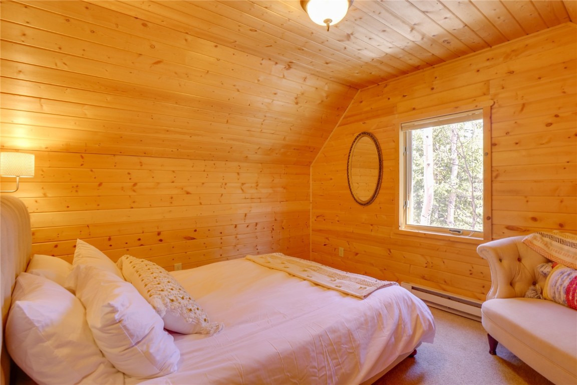 107 Silver Plume Road Alma, CO 80420 - Photo 28 of 36 Gallery Image 28