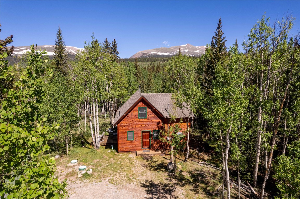 107 Silver Plume Road Alma, CO 80420 - Photo 34 of 36 Gallery Image 34