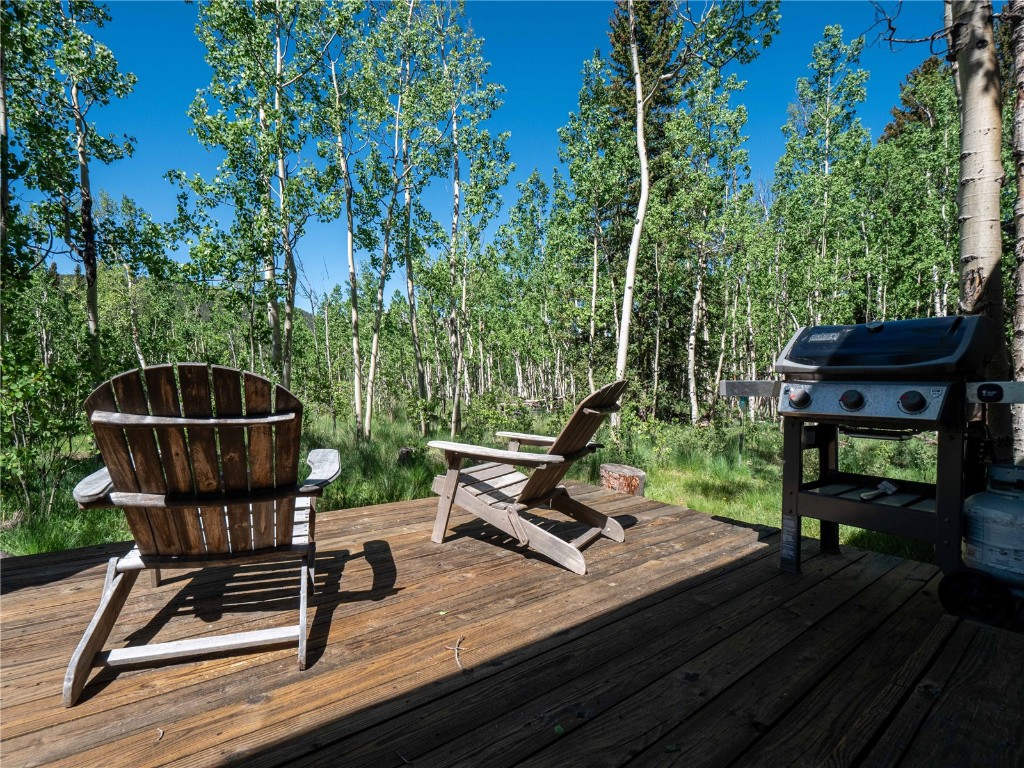 107 Silver Plume Road Alma, CO 80420 - Photo 4 of 36 Gallery Image 4