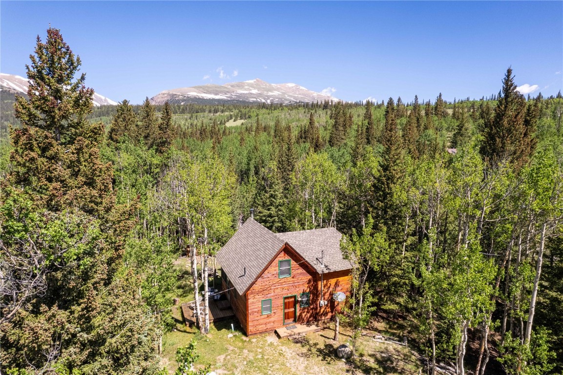 107 Silver Plume Road Alma, CO 80420 - Photo 5 of 36 Gallery Image 5