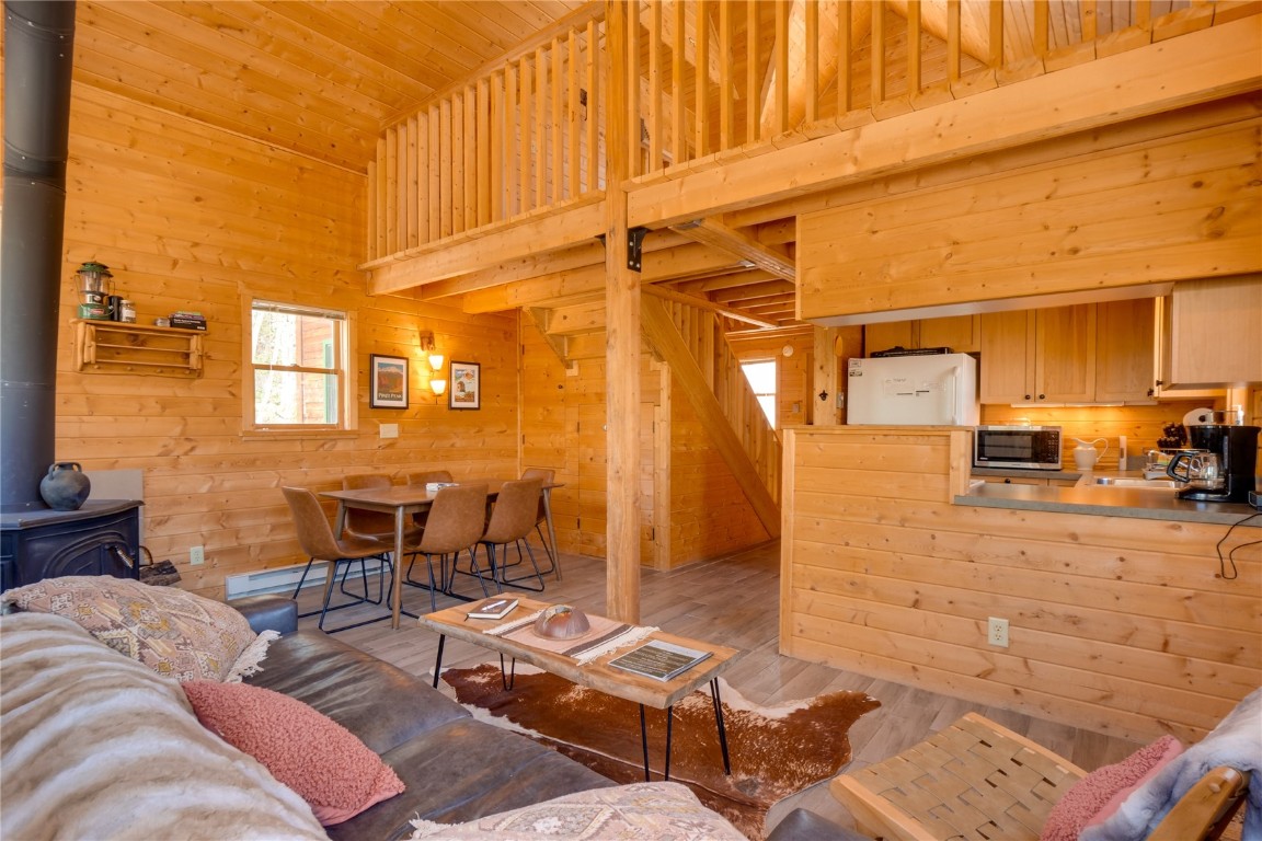 107 Silver Plume Road Alma, CO 80420 - Photo 7 of 36 Gallery Image 7