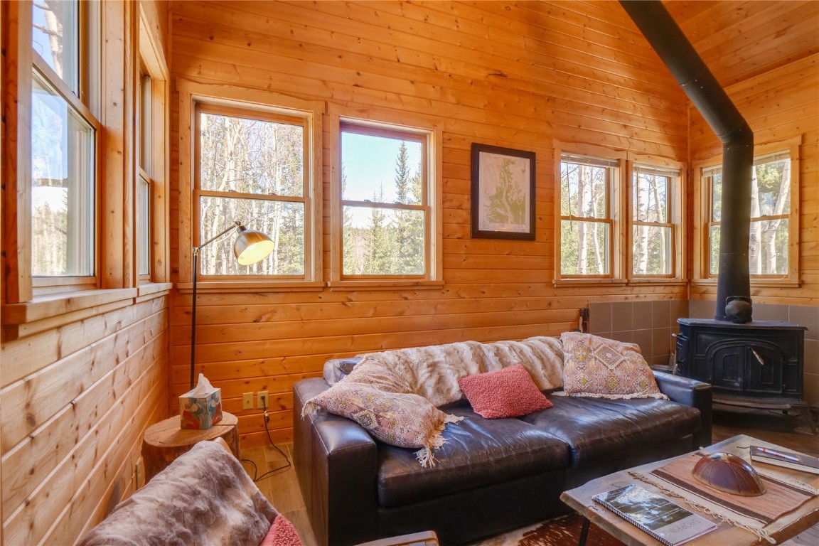 107 Silver Plume Road Alma, CO 80420 - Photo 10 of 36 Gallery Image 10