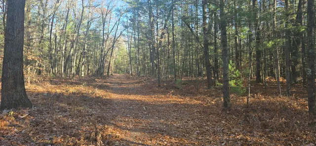 $49,900 | West Cedar Road, Twin Lake, MI 49457