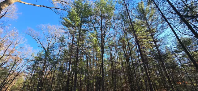 $49,900 | West Cedar Road, Twin Lake, MI 49457