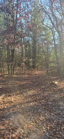 $49,900 | West Cedar Road, Twin Lake, MI 49457