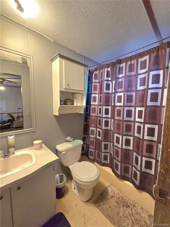 a bathroom with a sink a toilet and shower curtain