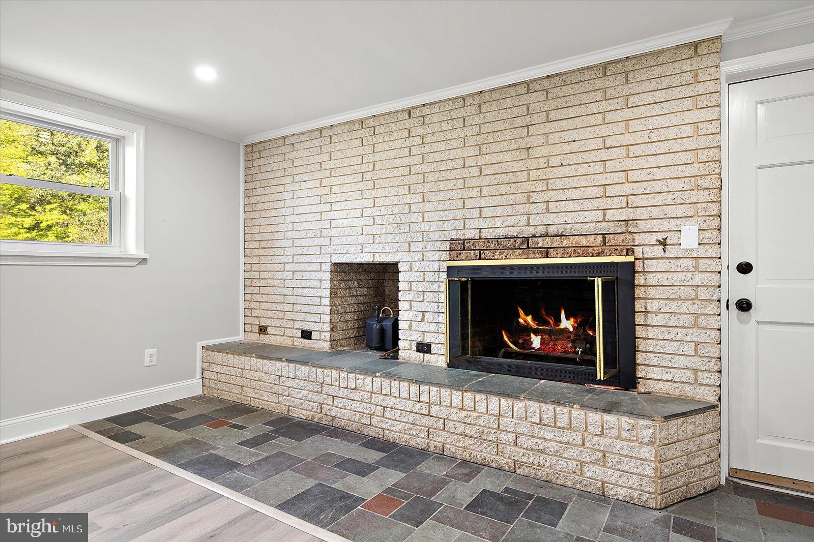 31655 Morris Leonard Road Parsonsburg, MD 21849 - Photo 46 of 90 Great Room w/ Fireplace