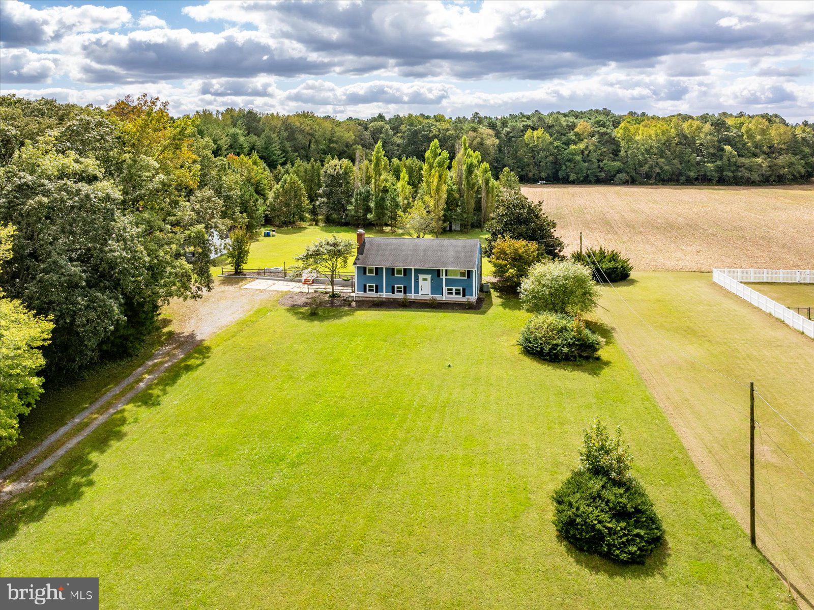 31655 Morris Leonard Road Parsonsburg, MD 21849 - Photo 64 of 90 a view of a lake with a garden