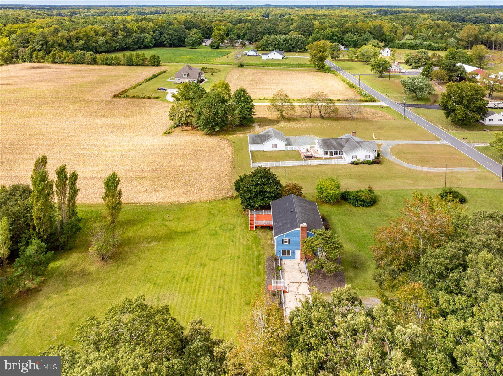 31655 Morris Leonard Road Parsonsburg, MD 21849 - Photo 67 of 90