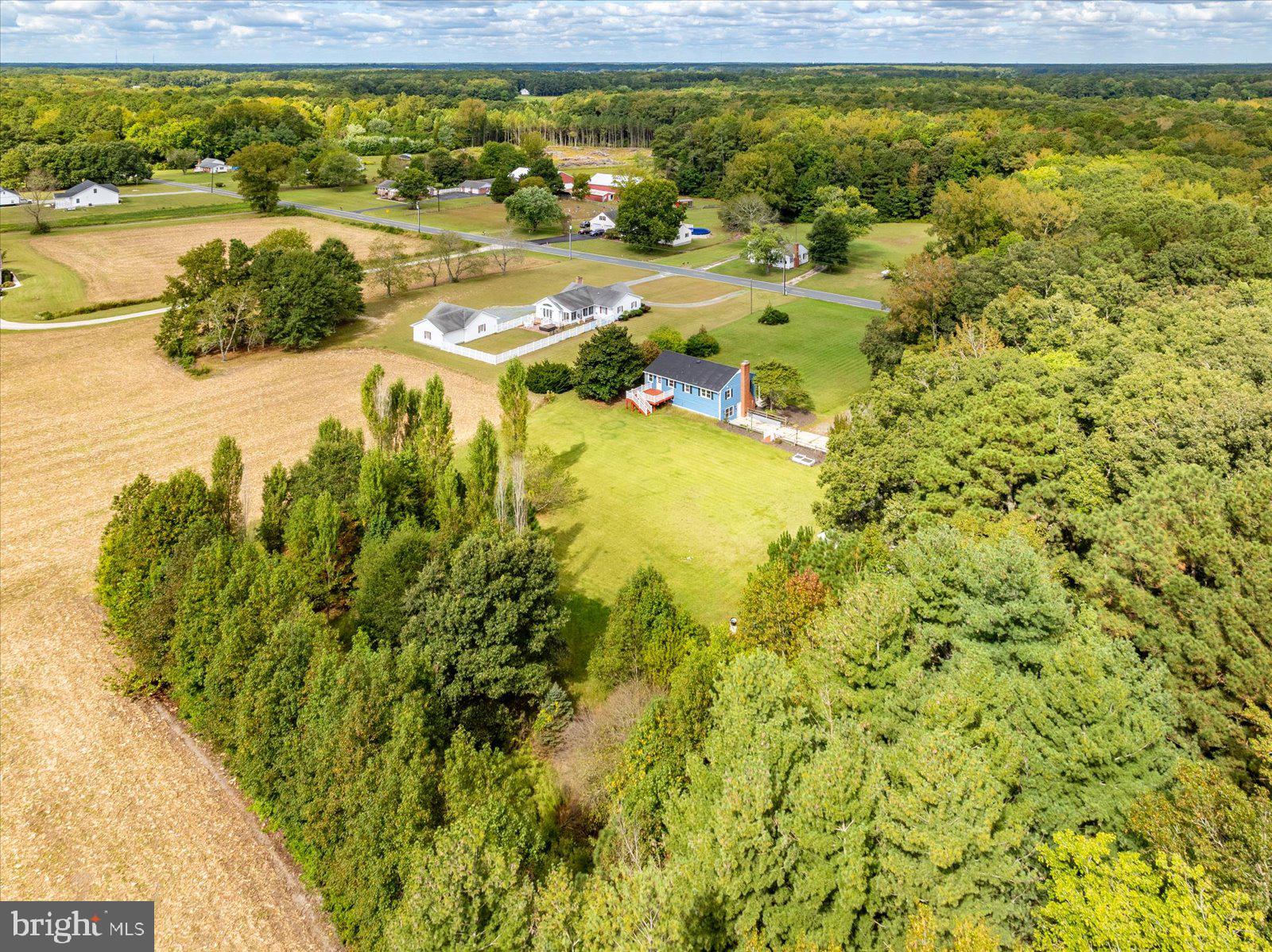 31655 Morris Leonard Road Parsonsburg, MD 21849 - Photo 69 of 90