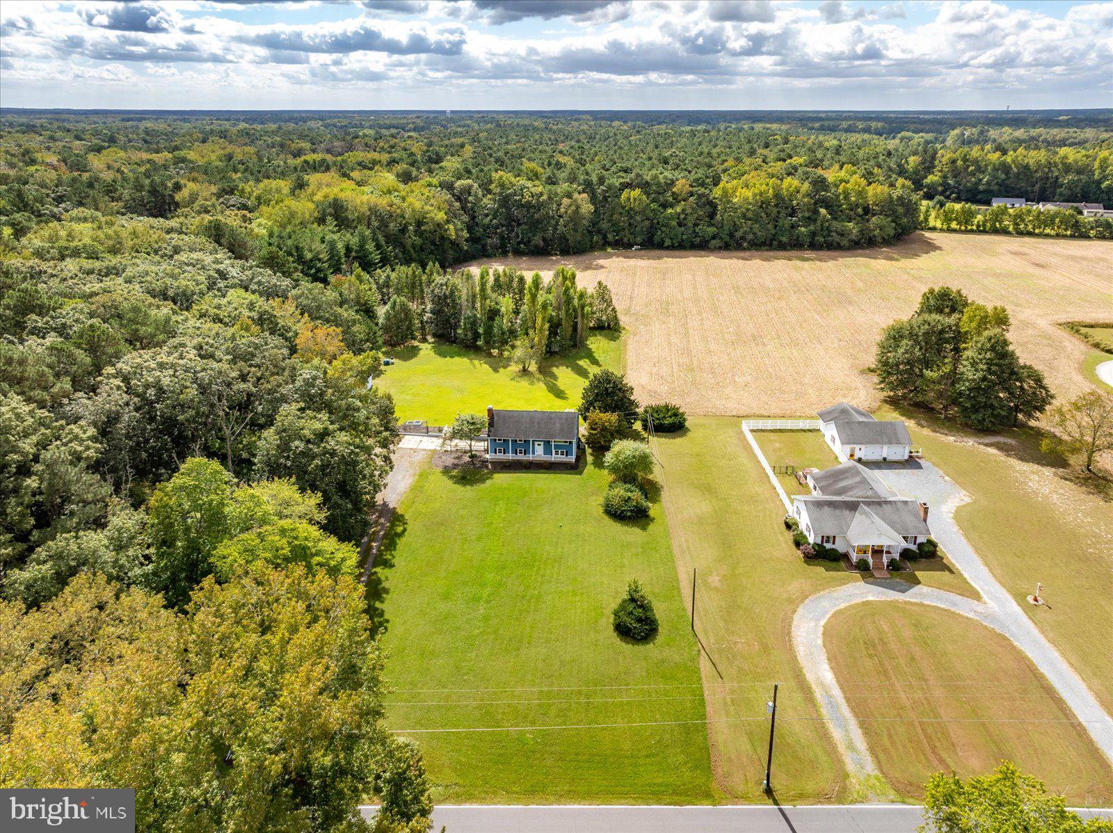 31655 Morris Leonard Road Parsonsburg, MD 21849 - Photo 73 of 90