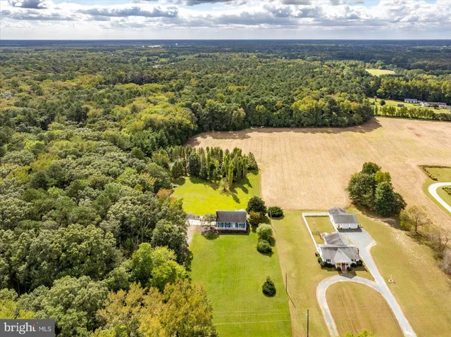 $560,000 | 31655 Morris Leonard Road, Parsonsburg, MD 21849