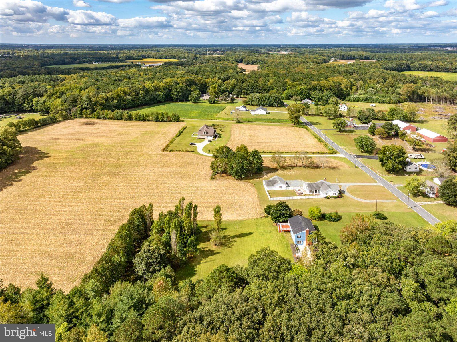 31655 Morris Leonard Road Parsonsburg, MD 21849 - Photo 76 of 90