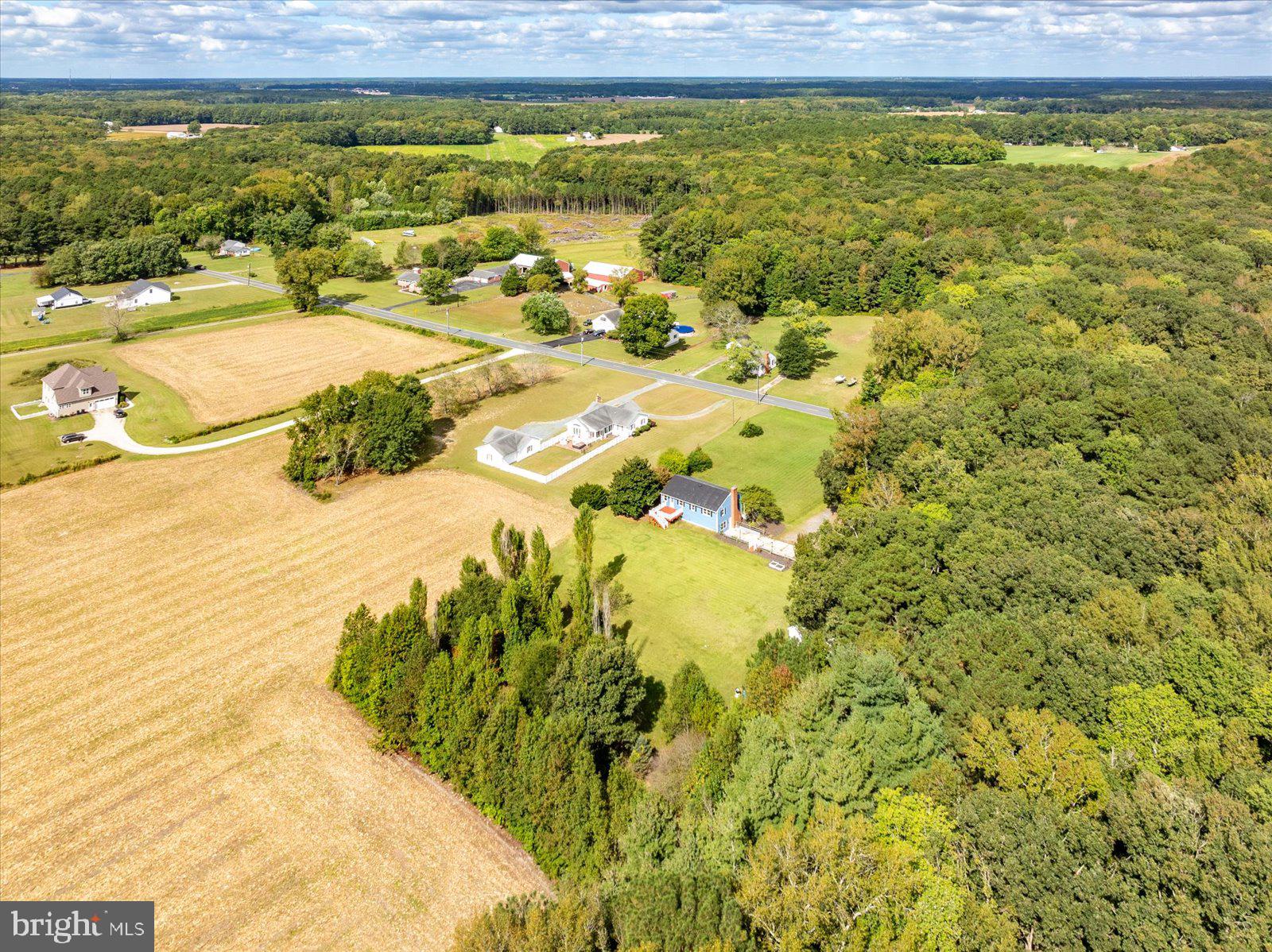 31655 Morris Leonard Road Parsonsburg, MD 21849 - Photo 78 of 90