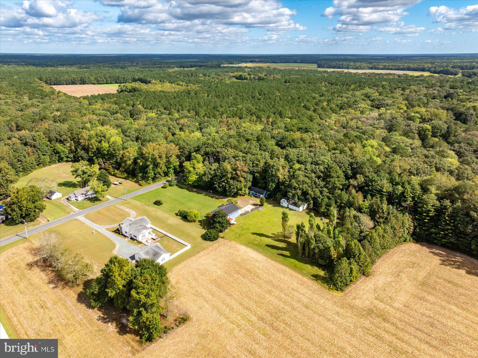 31655 Morris Leonard Road Parsonsburg, MD 21849 - Photo 80 of 90