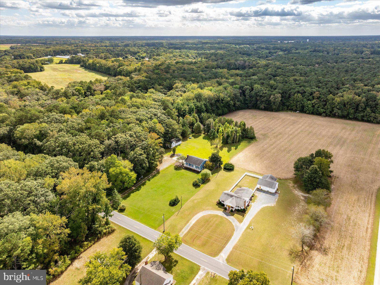 31655 Morris Leonard Road Parsonsburg, MD 21849 - Photo 8 of 90 Two lots totaling over 10 Acres