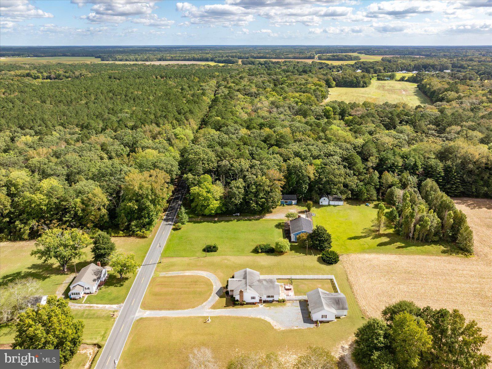 31655 Morris Leonard Road Parsonsburg, MD 21849 - Photo 81 of 90