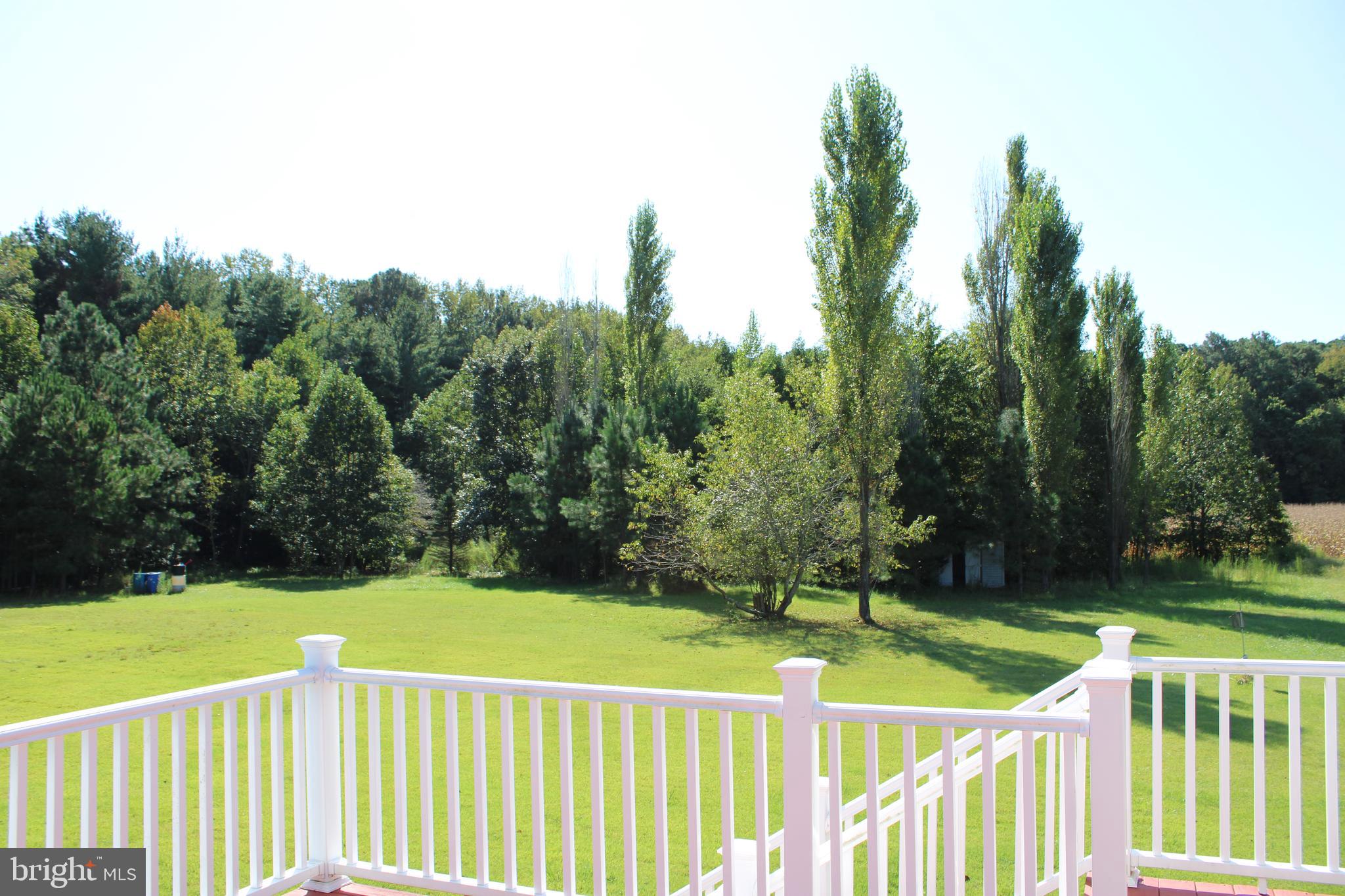 31655 Morris Leonard Road Parsonsburg, MD 21849 - Photo 89 of 90 a view of a deck with a yard