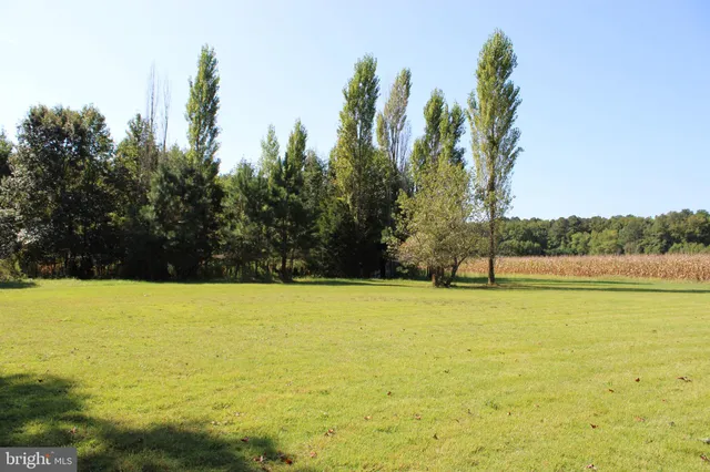 $560,000 | 31655 Morris Leonard Road, Parsonsburg, MD 21849