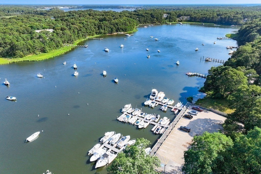 103 Dory Circle Barnstable, MA 02648 - Photo 41 of 42 a view of a lake with a lot of flower plants