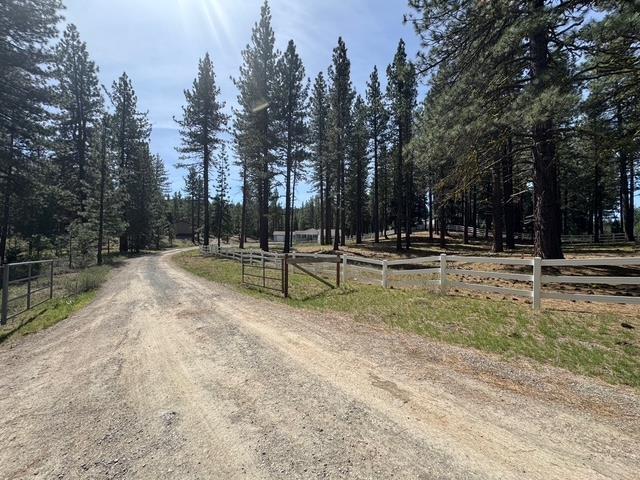 4678 Portola McLears Road Clio, CA 96106 - Photo 2 of 33 a view of park with trees