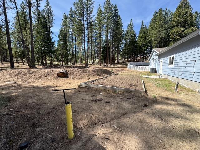 4678 Portola McLears Road Clio, CA 96106 - Photo 31 of 33 a view of a park with trees