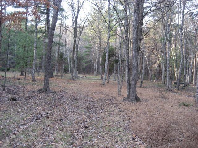 Lot 7 Highland Farm Road Callaway, VA 24067 - Photo 1 of 1 a view of a forest with trees in the background