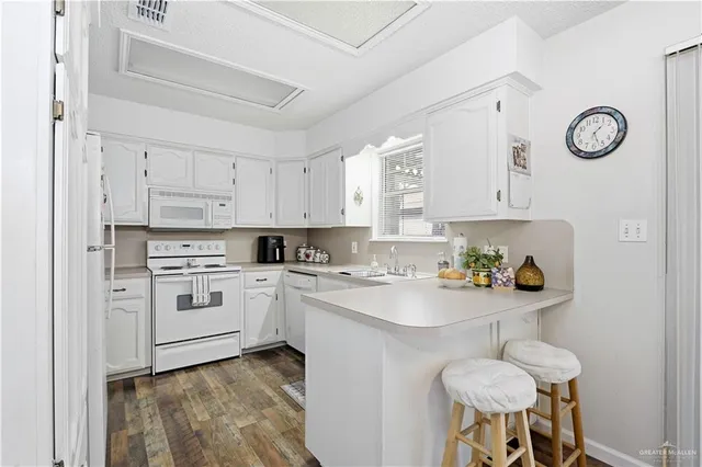 $1,325 | 519 Pisces Street, Mission, TX 78572