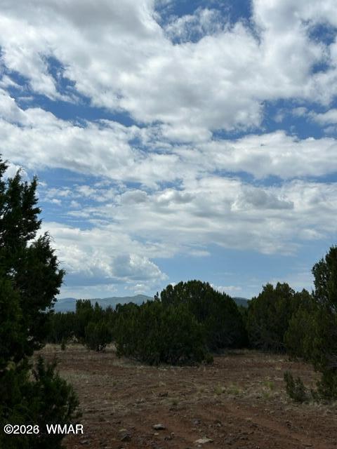 N3109 Rd Vernon Az 85940 Road Vernon, AZ 85940 - Photo 8 of 17