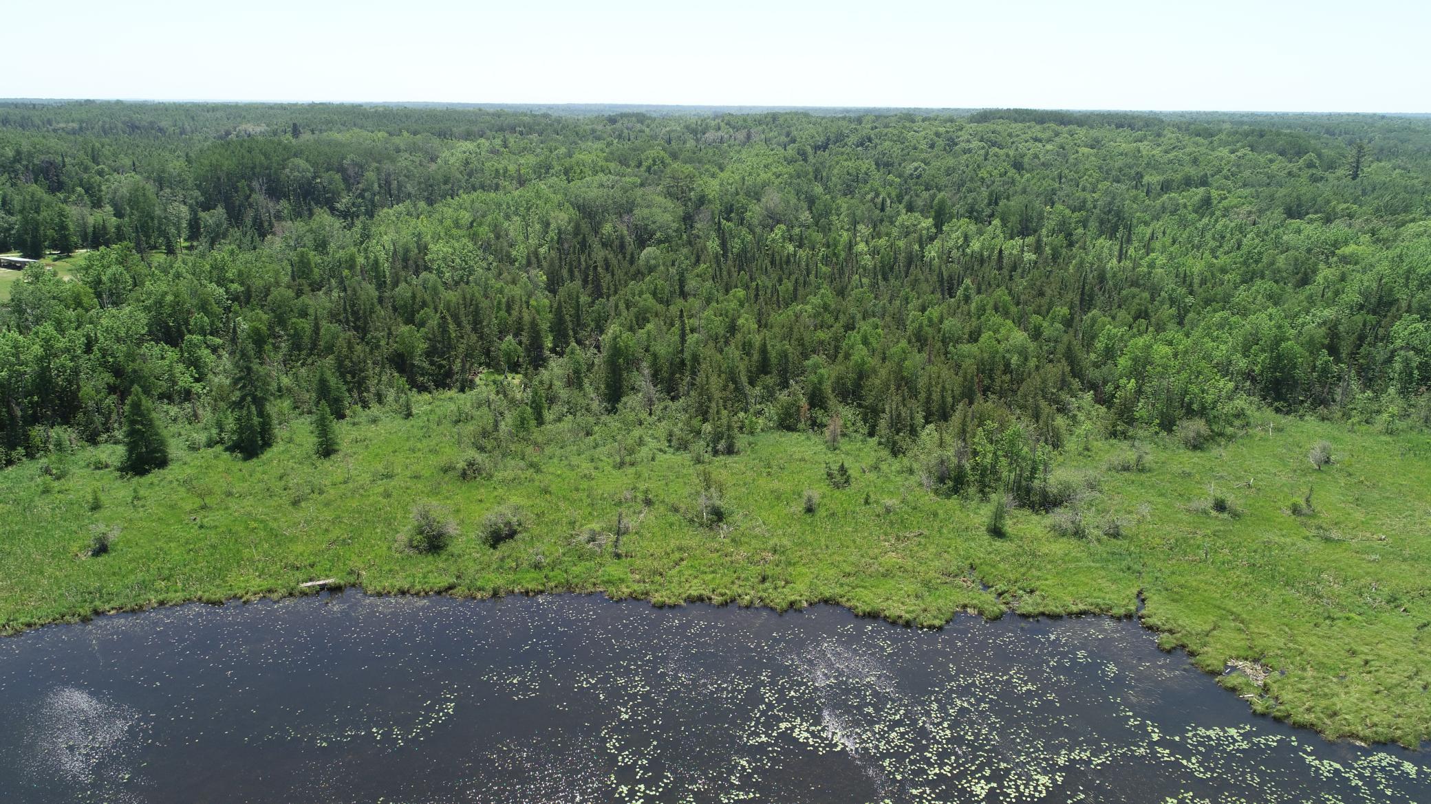 Tbd Rush Island Lake Road Spring Lake, MN 56680 - Photo 5 of 21