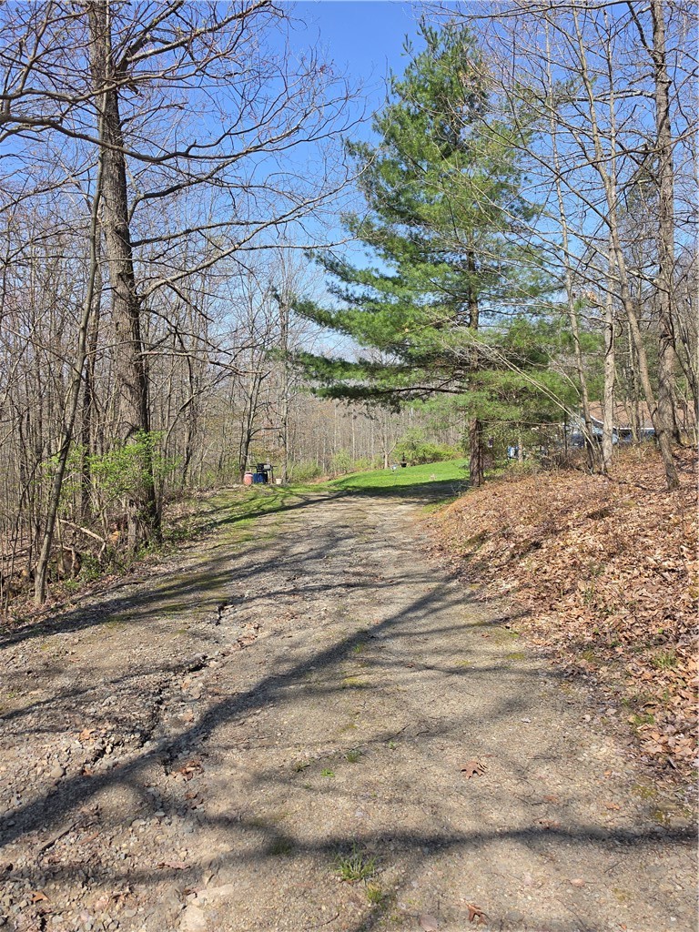 1926 Ranch Lane Erwin, NY 14830 - Photo 3 of 13