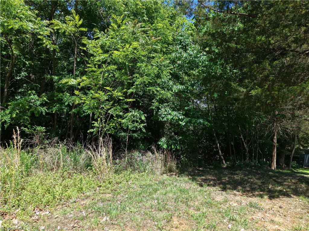 0 Fuller Mill Road North Thomasville, NC 27360 - Photo 20 of 22