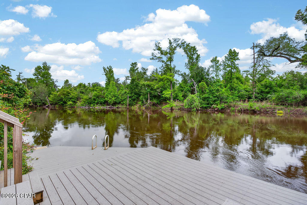 13696 Shumans Ferry Road Altha, FL 32421 - Photo 58 of 87