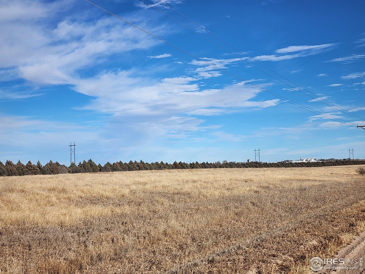 35 ACRES (PREVIOUSLY ENROLLED IN CRP)