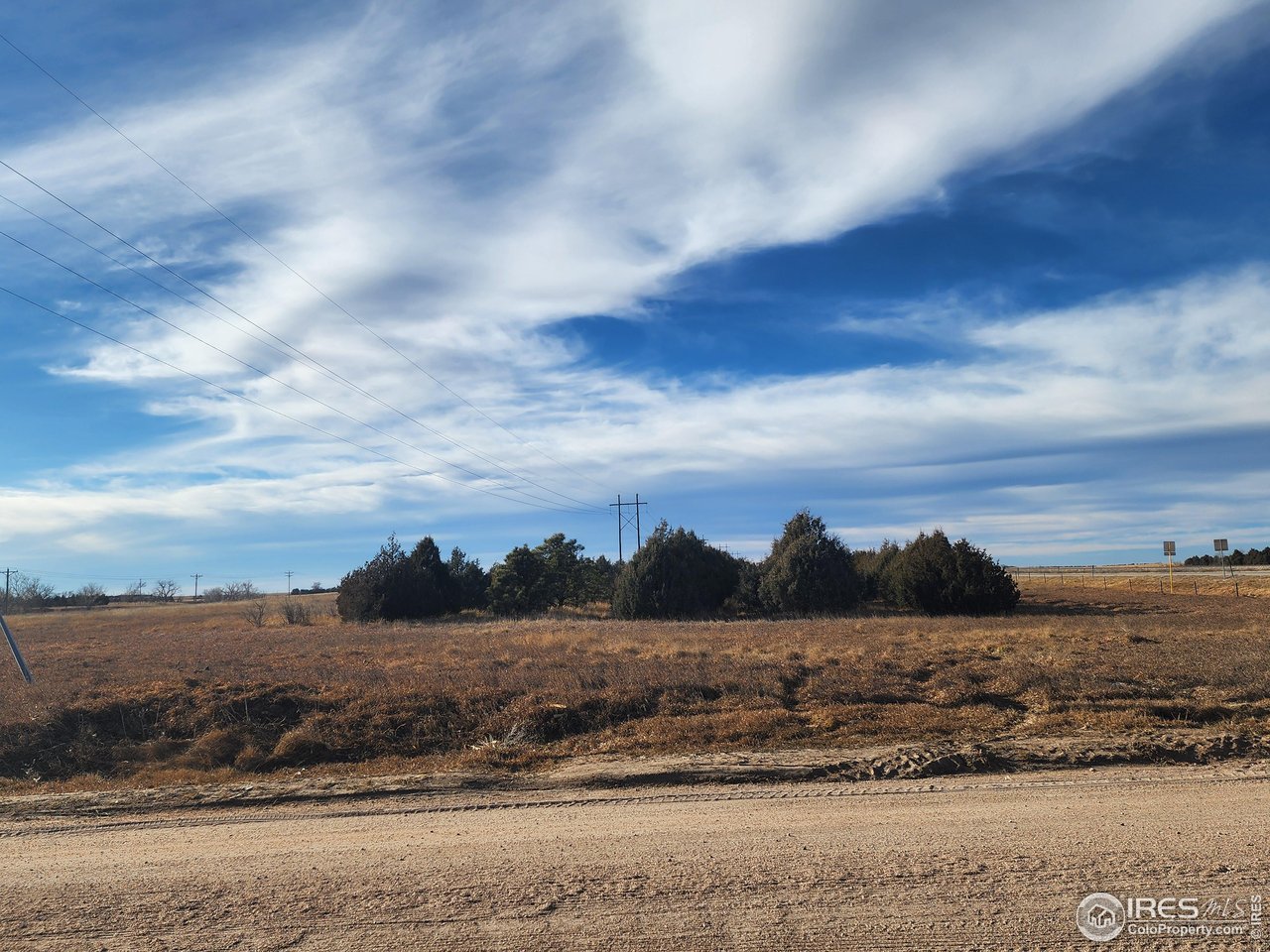 22 County Road West Holyoke, CO 80734 - Photo 13 of 13 5 ROW DEEP TREE MATURE TREE LINE