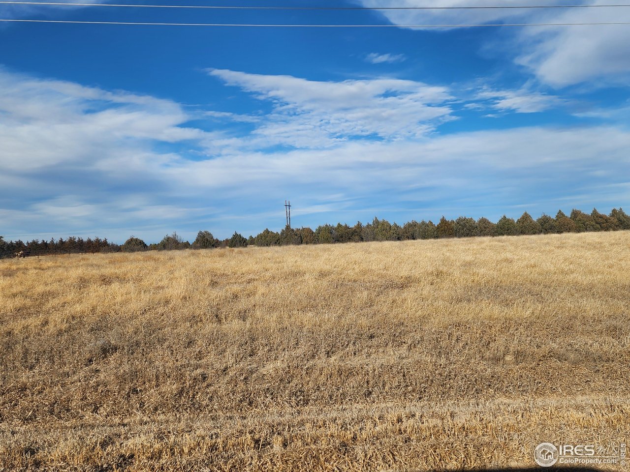 MATURE TREE LINES BUFFER HIGHWAY 6