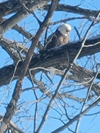 $1,174,900 | 2307 Tecumseh Drive, Brooklyn, MI 49230