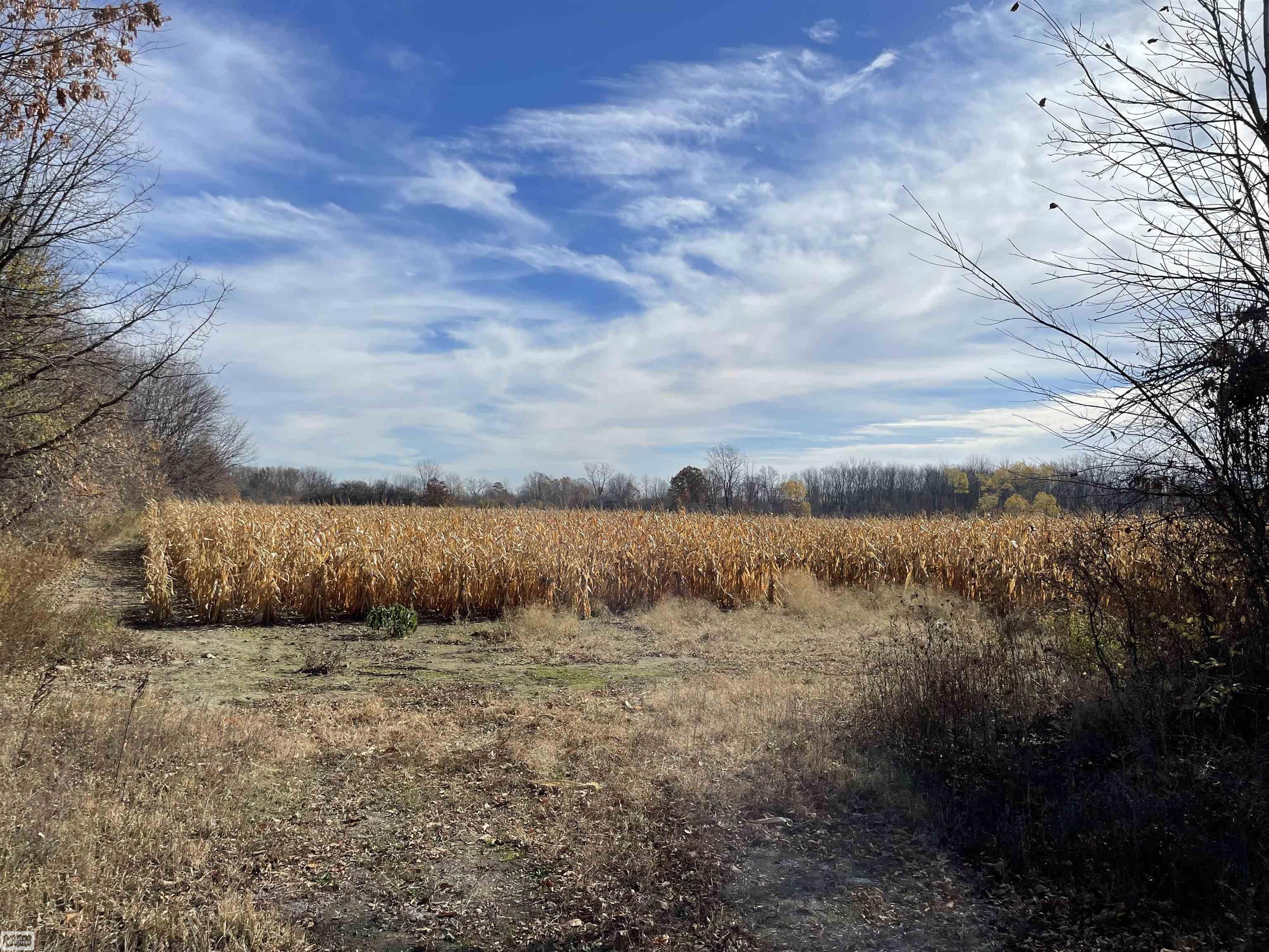 0 Kinney Road Emmett, MI 48022 - Photo 5 of 8