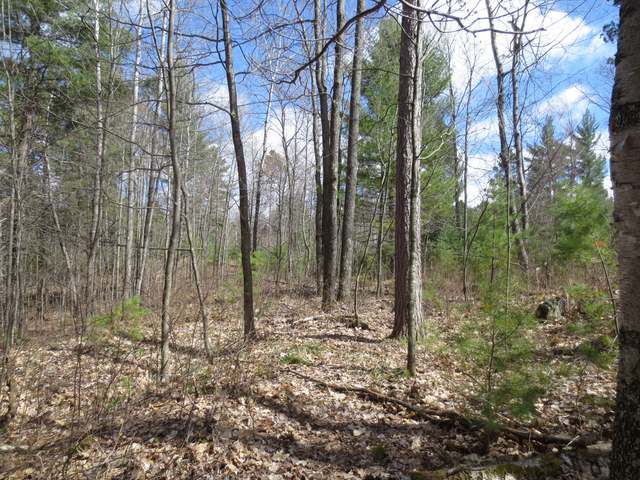 On Cedar Lane Rhinelander, WI 54501 - Photo 11 of 17 Gallery Image 11