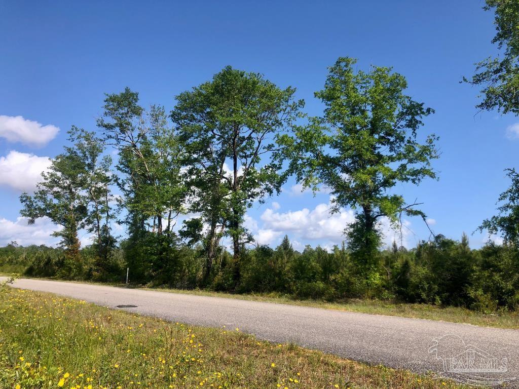 Lot 20 Mineral Springs Road Jay, FL 32565 - Photo 13 of 18 Gallery Image 13