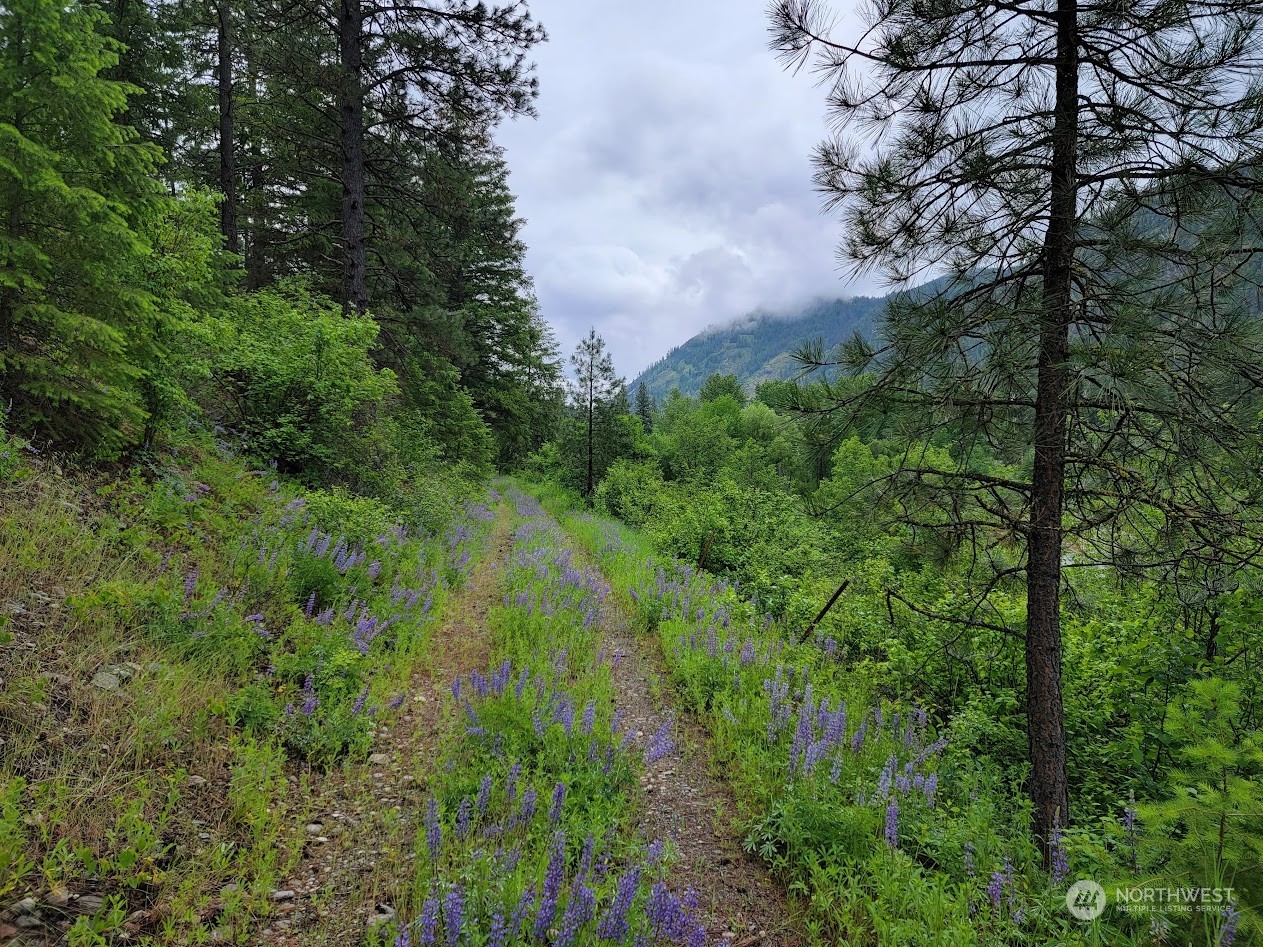 2510 East San Poil Road Keller, WA 99140 - Photo 11 of 38