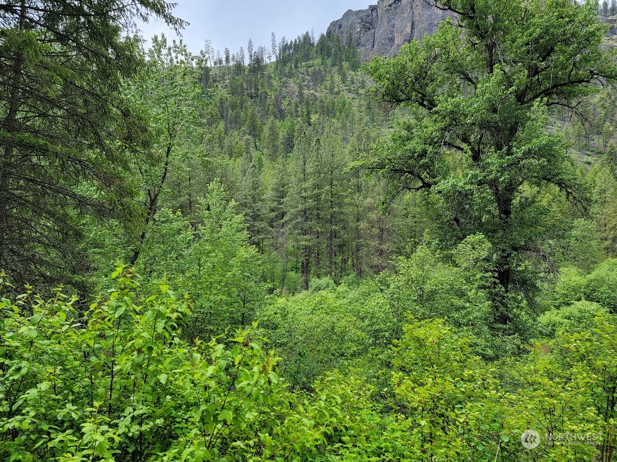 2510 East San Poil Road Keller, WA 99140 - Photo 20 of 38