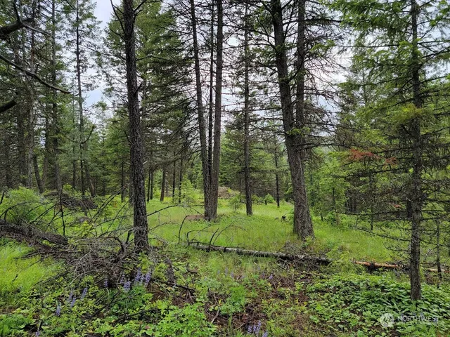 $385,000 | 2510 East San Poil Road, Keller, WA 99140